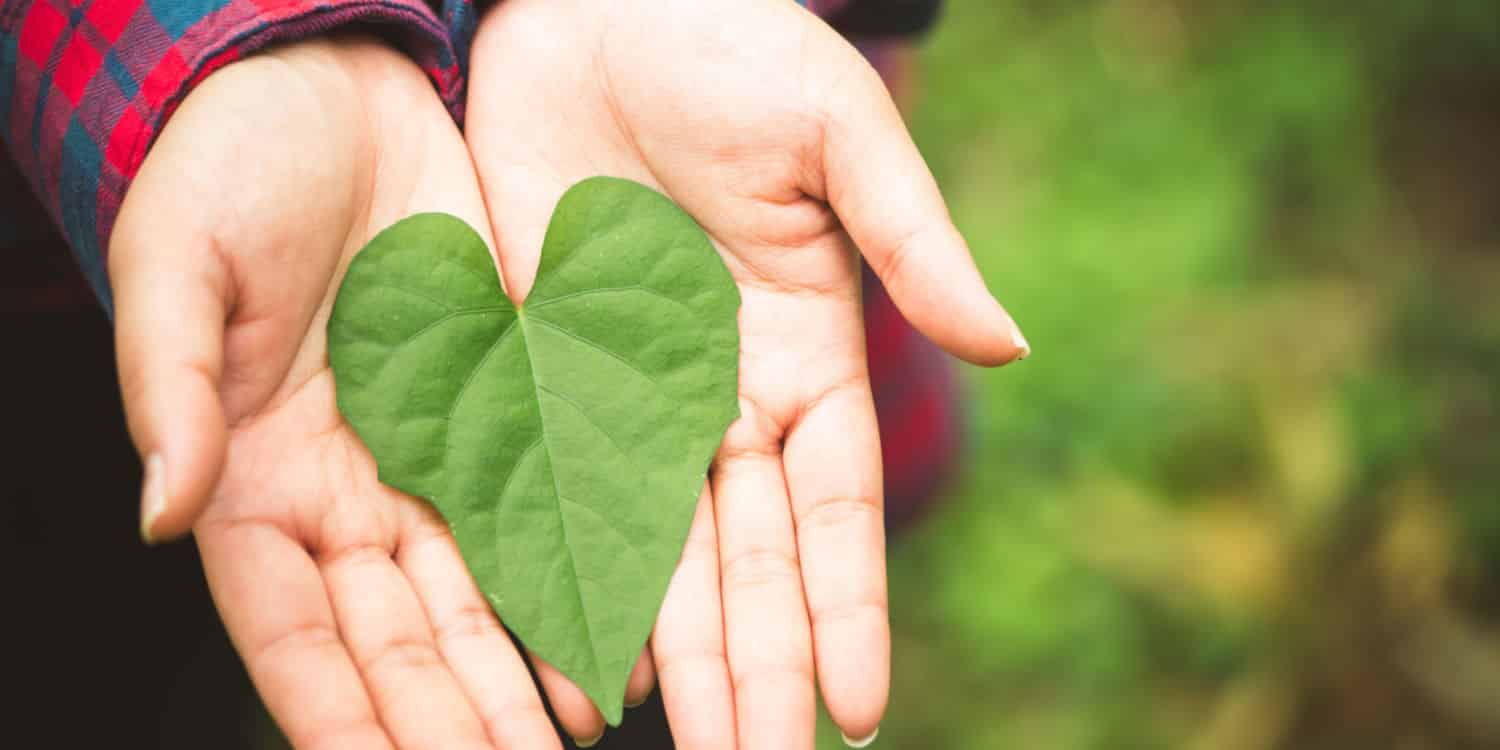 A leaf in the shape of a heart to represent going green